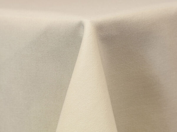 Ivory Cott'n-eze (spun Polyester) Napkins (301)