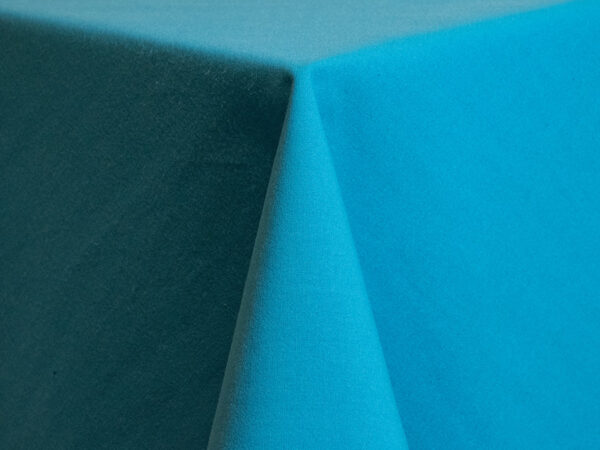 Ocean Cott'n-eze (spun Polyester) Napkins (424)