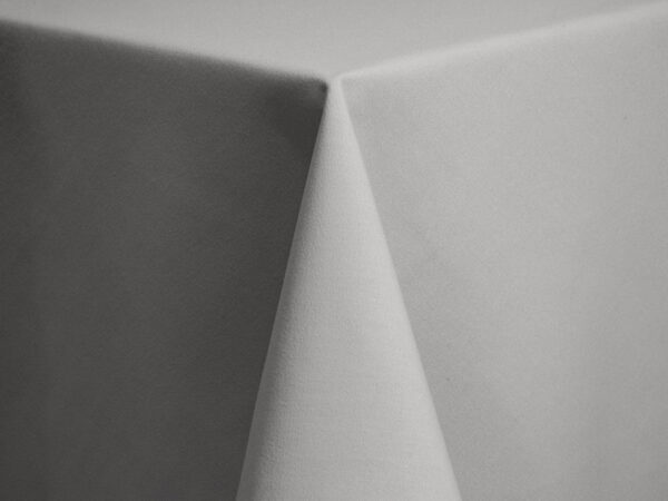 Silver Cott'n-eze (spun Polyester) Napkins (444)