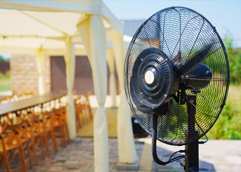 Fan
