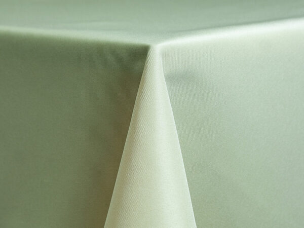 Seamist Polyester Cushion Covers (119)