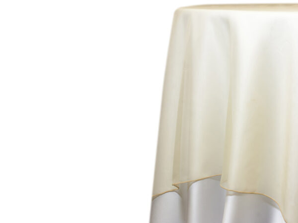 Champagne Voile Drapes (768)