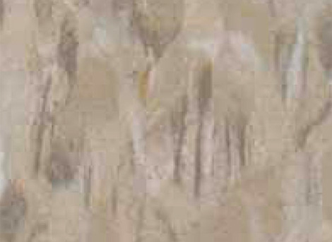 Driftwood Wall Color Chart